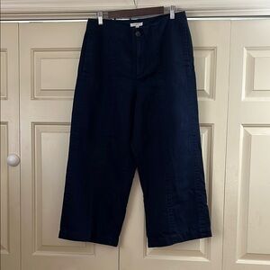 LOFT Navy Curvy Wide Leg Button-Front Pants